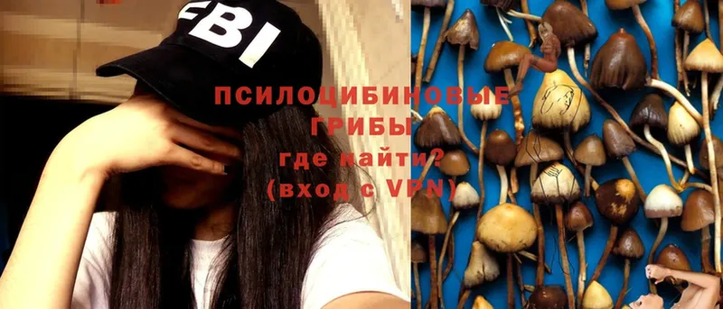 Галлюциногенные грибы MAGIC MUSHROOMS  где найти наркотики  Великие Луки 